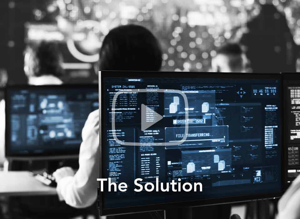 The Solution
