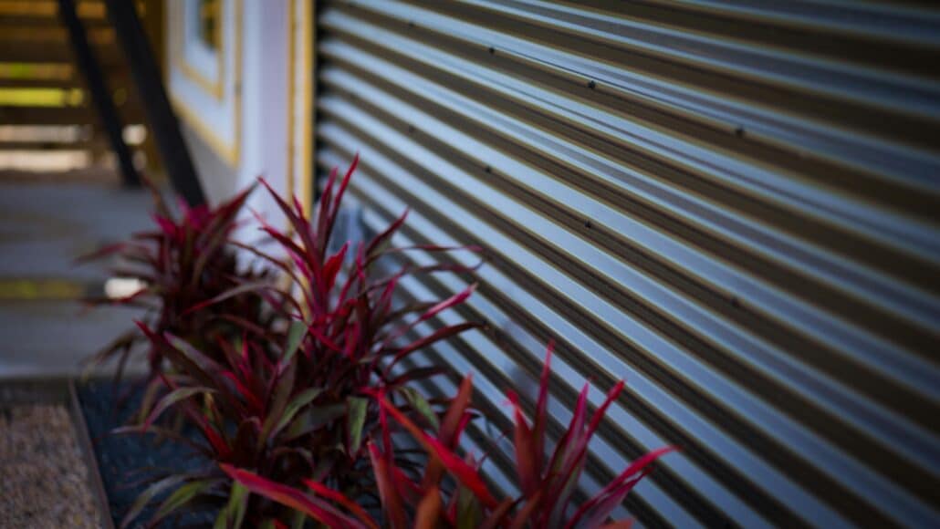 potted plants next to a front door